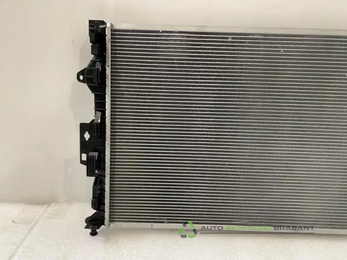 Kühler - 35e8a5ce-0ebf-4499-abc1-5c0d6a4637fa.jpg