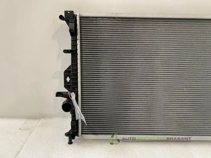 Kühler - 4925c730-c8d5-4e46-9a30-36717f561489.jpg