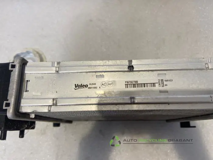 Kühler - c31a56e4-a711-4211-bdea-f12ac1e1d429.jpg