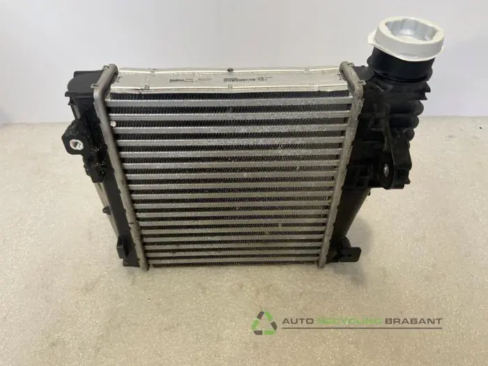 Kühler - ceec3e5b-1c2a-4c38-a30b-a635ac24a6ba.jpg