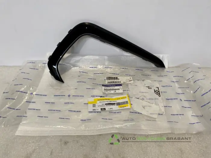 Afdekplaat mistlamp rechts Ssang Yong Korando Afdekplaat mistlamp rechts Ssang Yong Korando