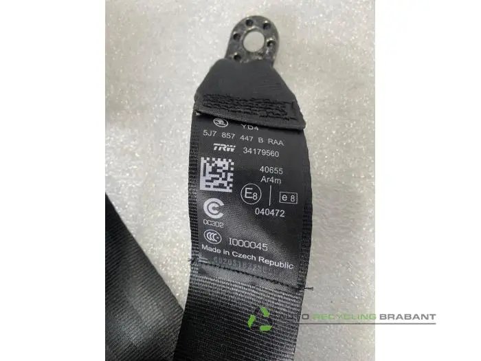 Veiligheidsgordel links-achter - a5660eea-b863-4ab0-a7c6-6ad5f3637404.jpg