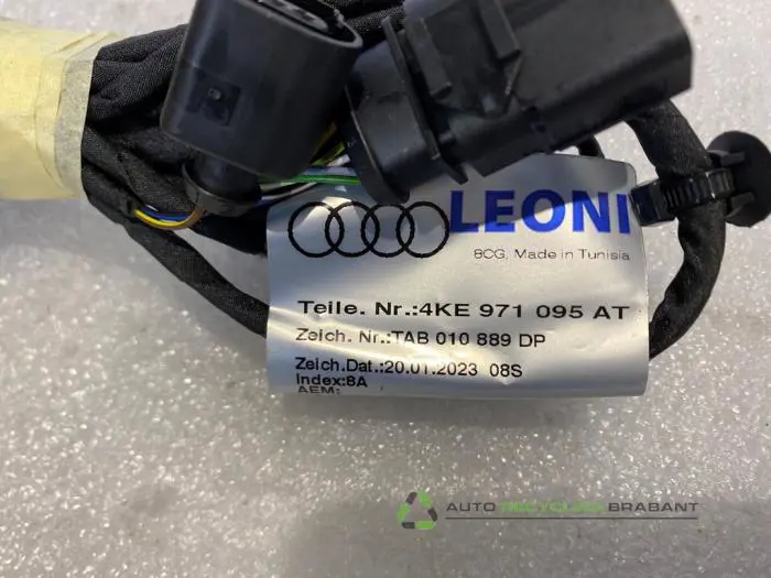 PDC kabelboom - 53f8e10d-6d78-4ec5-baad-d2a424800ef0.jpg