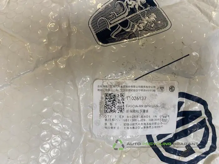 Spoiler achterbumper - cc15e145-90ff-45ac-a1f9-c08de988217b.jpg