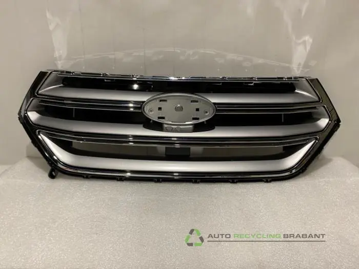 Grille Ford Edge Grille Ford Edge