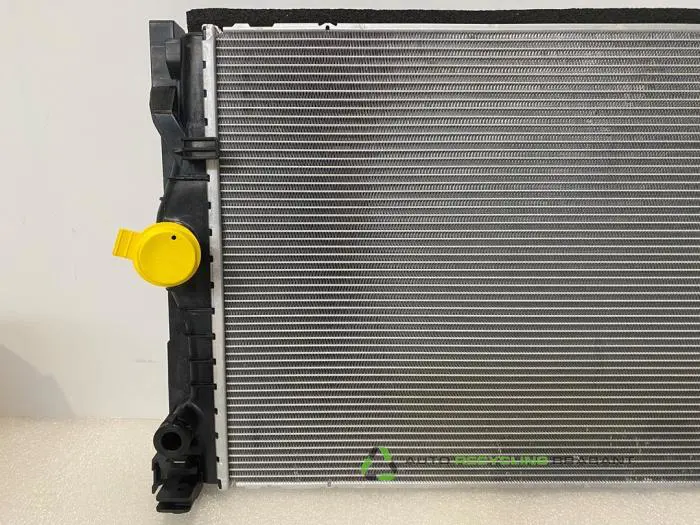 Radiateur - 7f38cd65-4881-4b5f-bcfb-ec0c7da21073.jpg
