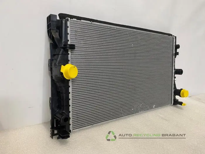 Radiateur - ef9efac1-d6f4-443a-957a-cfd43a5927c1.jpg