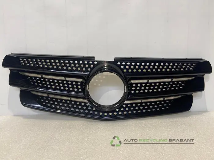 Grille Mercedes Vito Grille Mercedes Vito