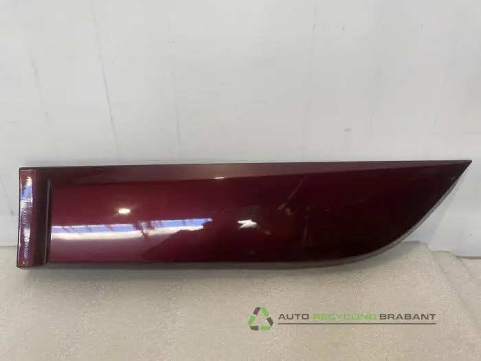 Sierstrip Renault Scenic