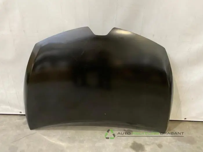 Motorkap Renault Clio Motorkap Renault Clio