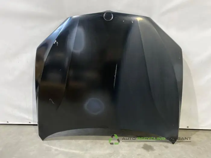 Motorkap BMW X5 Motorkap BMW X5