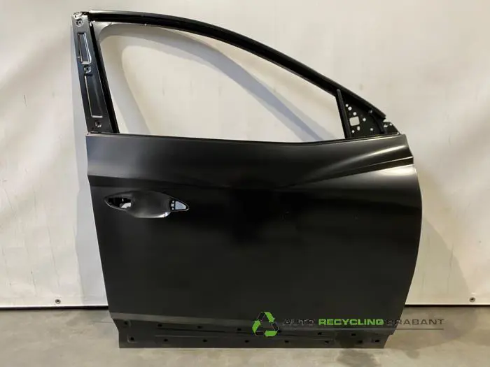 Portier 4Deurs rechts-voor Hyundai Tucson Portier 4Deurs rechts-voor Hyundai Tucson