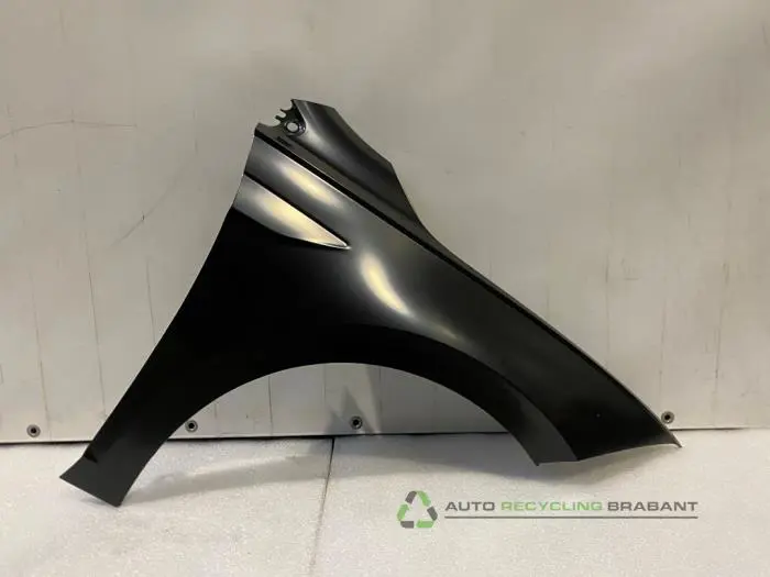 Scherm rechts-voor Volkswagen Polo Scherm rechts-voor Volkswagen Polo