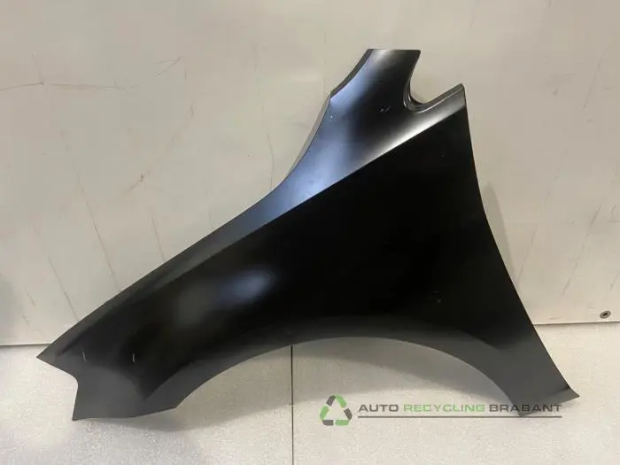 Scherm links-voor Volkswagen Golf Scherm links-voor Volkswagen Golf