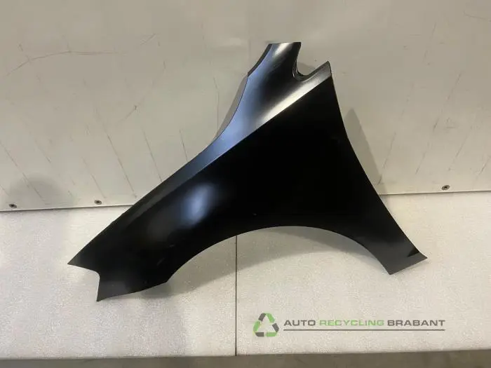 Scherm links-voor Volkswagen Golf Scherm links-voor Volkswagen Golf