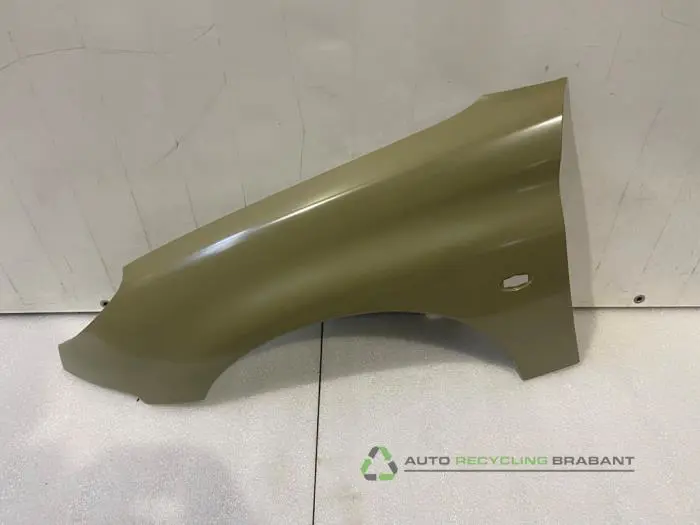 Scherm links-voor Peugeot 206 Scherm links-voor Peugeot 206