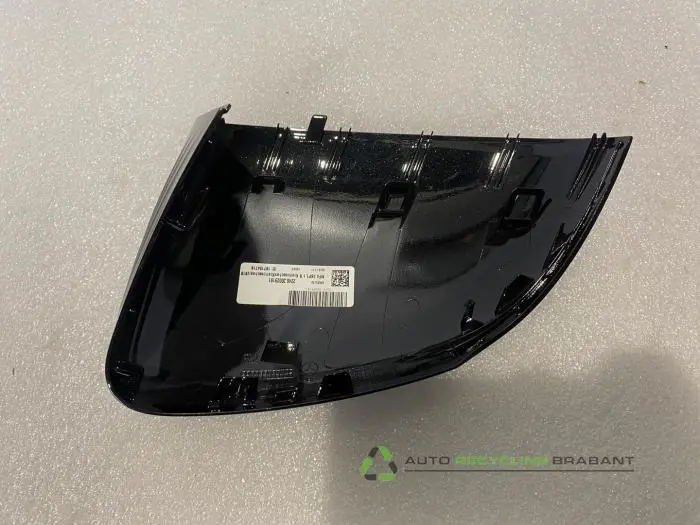 Spiegelkap rechts - 3679de84-4306-4256-a13d-7b51ba1ca074.jpg
