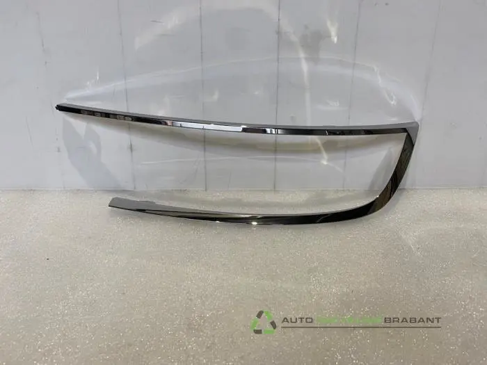 Scheinwerferring links - a0cec35f-ba66-421f-b8f1-5193dfc570b5.jpg