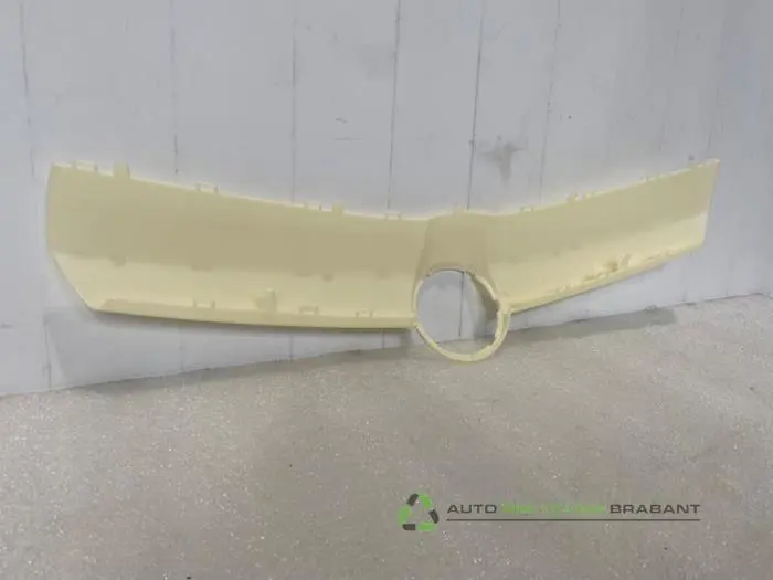 Grille - a5b98c40-c031-4db3-a64b-1dc2893a6c1b.jpg