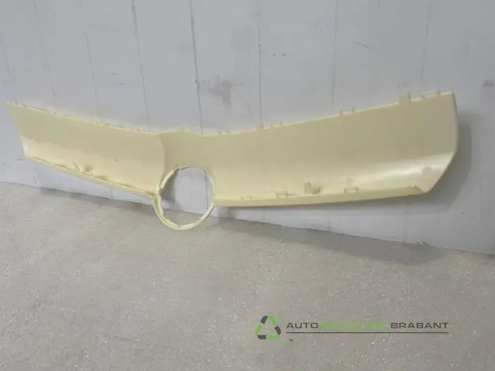 Grille - c6a092ec-6cd9-4ad0-a796-978b6955ef03.jpg