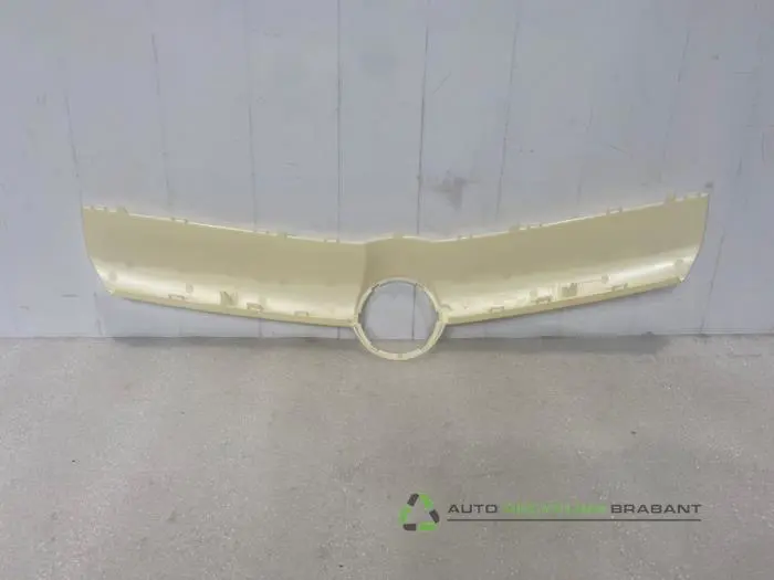 Grille - de212a44-6a82-4c85-8441-ab1f67be2e22.jpg