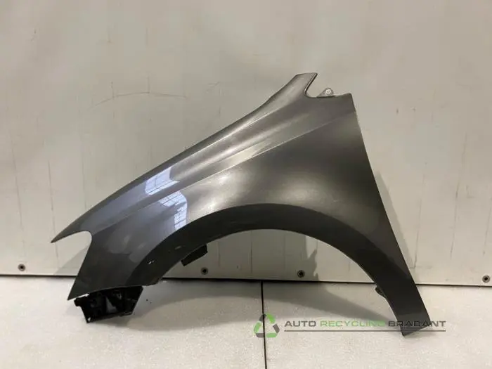 Scherm links-voor Volkswagen Polo