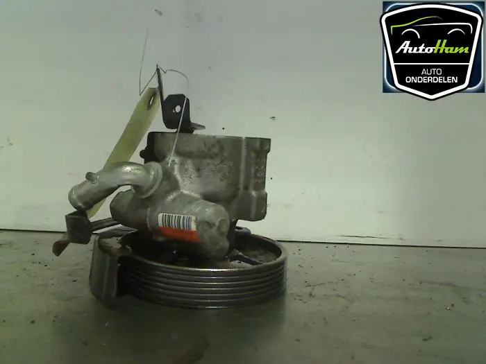 Stuurbekrachtiging Pomp Citroen Nemo