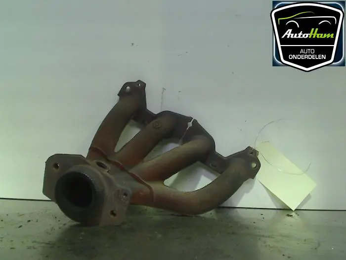 Uitlaatspruitstuk Renault Clio
