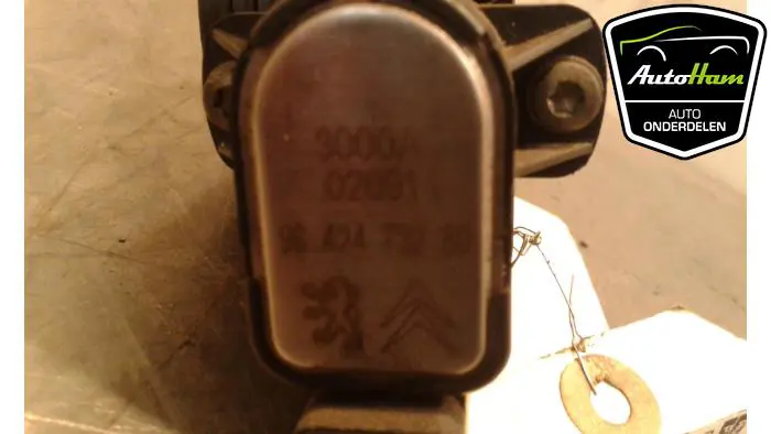 Gasklephuis Peugeot 307