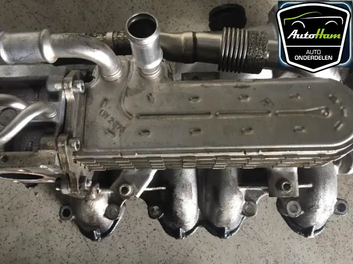 EGR koeler Volkswagen Golf