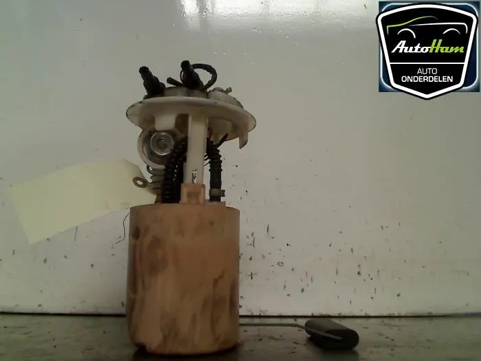 Benzinepomp Peugeot 206