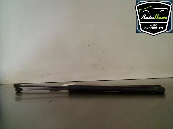 Set Gasdempers Achterklep Ford C-Max