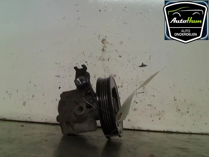 Stuurbekrachtiging Pomp Kia Carnival