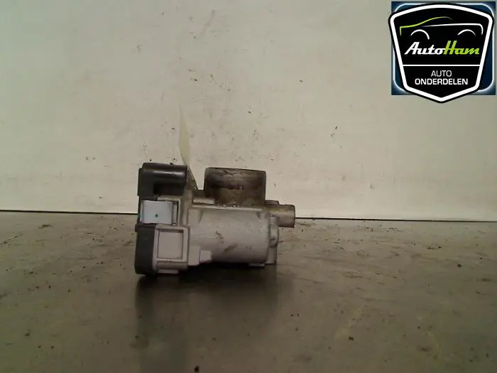 Gasklephuis Fiat Punto