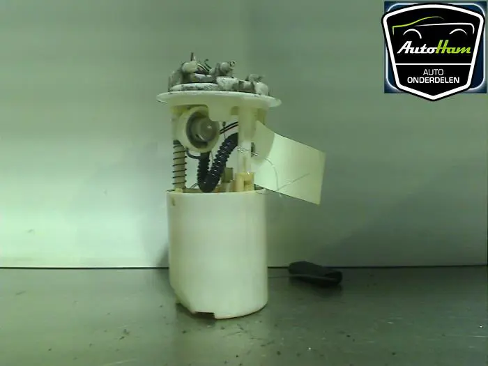 Benzinepomp Peugeot 206