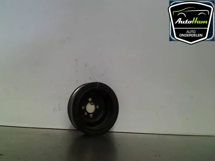 Krukas Poelie Seat Leon