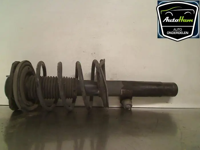 Schokdemper links-voor Peugeot 206 PLUS