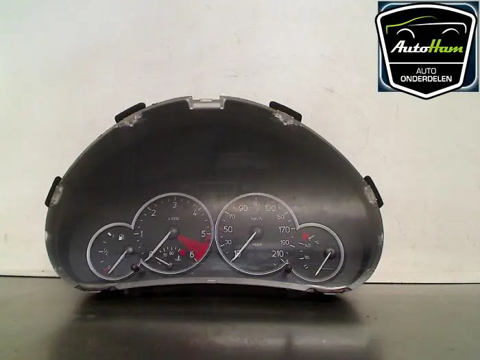 Instrumentenpaneel Peugeot 206