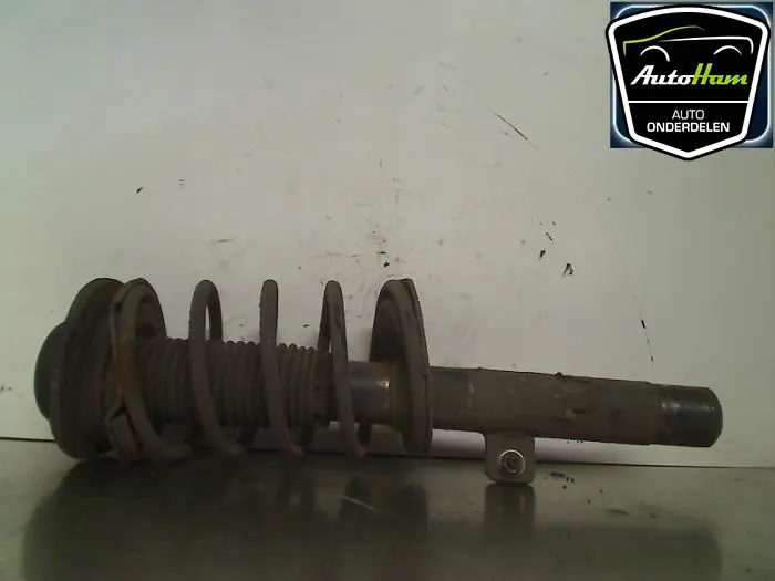 Schokdemper links-voor Peugeot 206