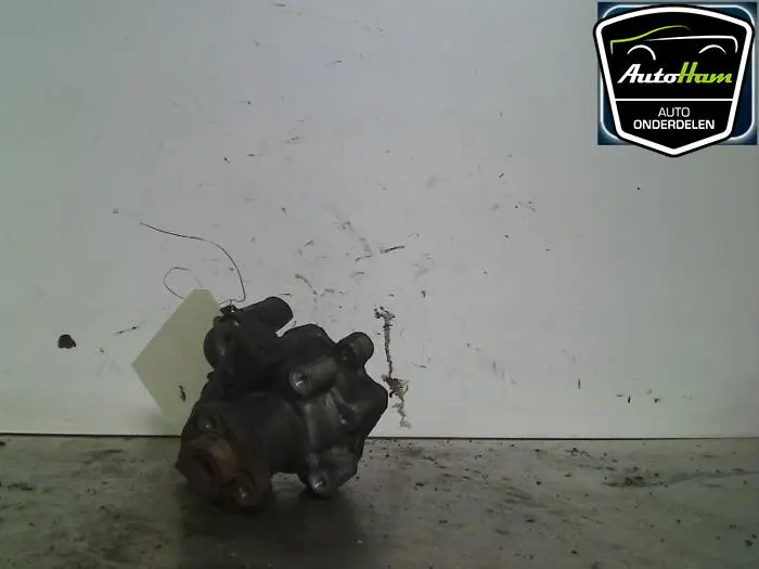 Stuurbekrachtiging Pomp Volkswagen Golf