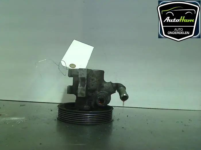 Stuurbekrachtiging Pomp Peugeot 306