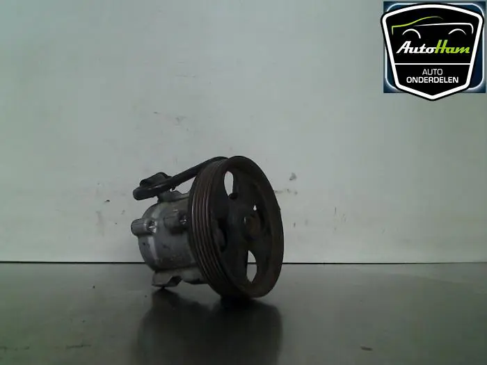 Stuurbekrachtiging Pomp Peugeot 306
