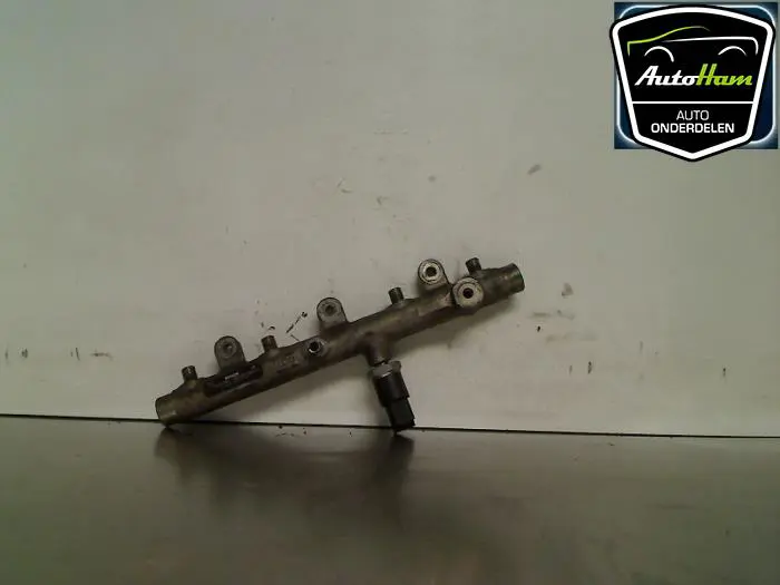 Galerij (Injectie) Peugeot 307