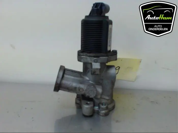 EGR Klep Opel Meriva