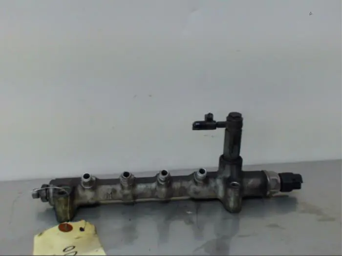 Galerij (Injectie) Opel Zafira