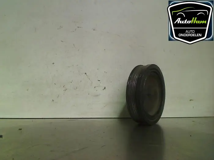 Krukas Poelie Audi A4
