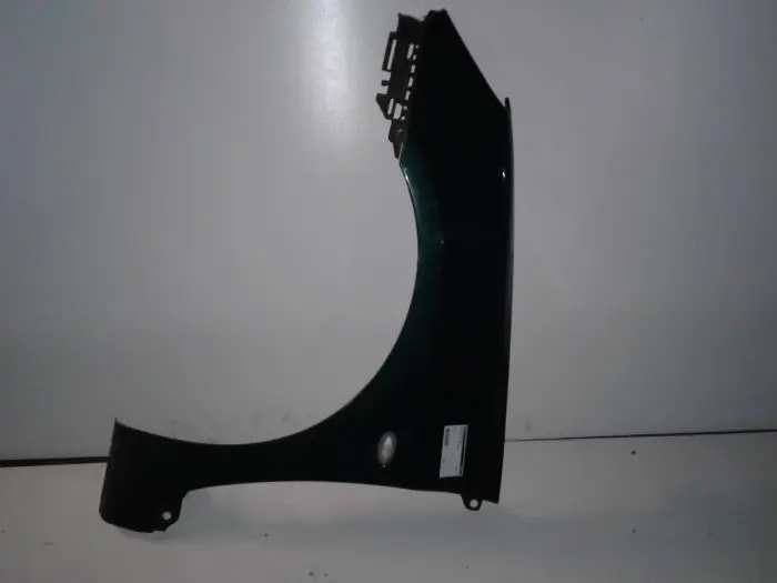 Scherm links-voor Peugeot 307