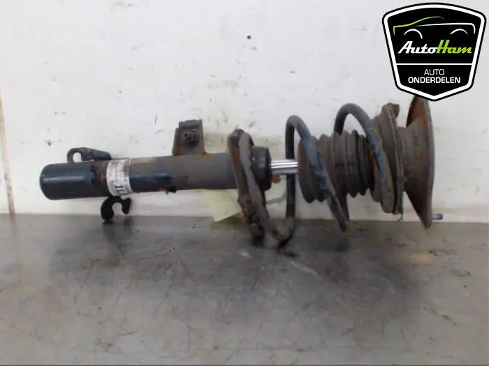 Schokdemper links-voor Rover Mini
