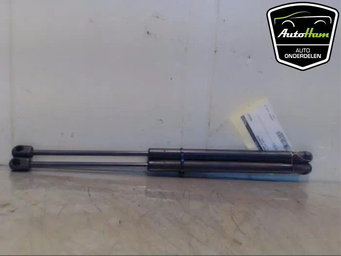 Set Gasdempers Achterklep Citroen C3
