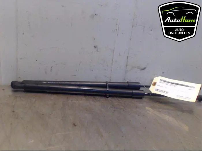 Set Gasdempers Achterklep Renault Modus